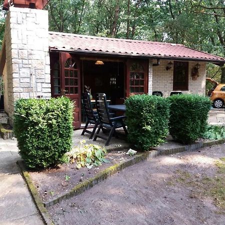 Witte Wieven Bungalow 17 Nunspeet Eksteriør billede